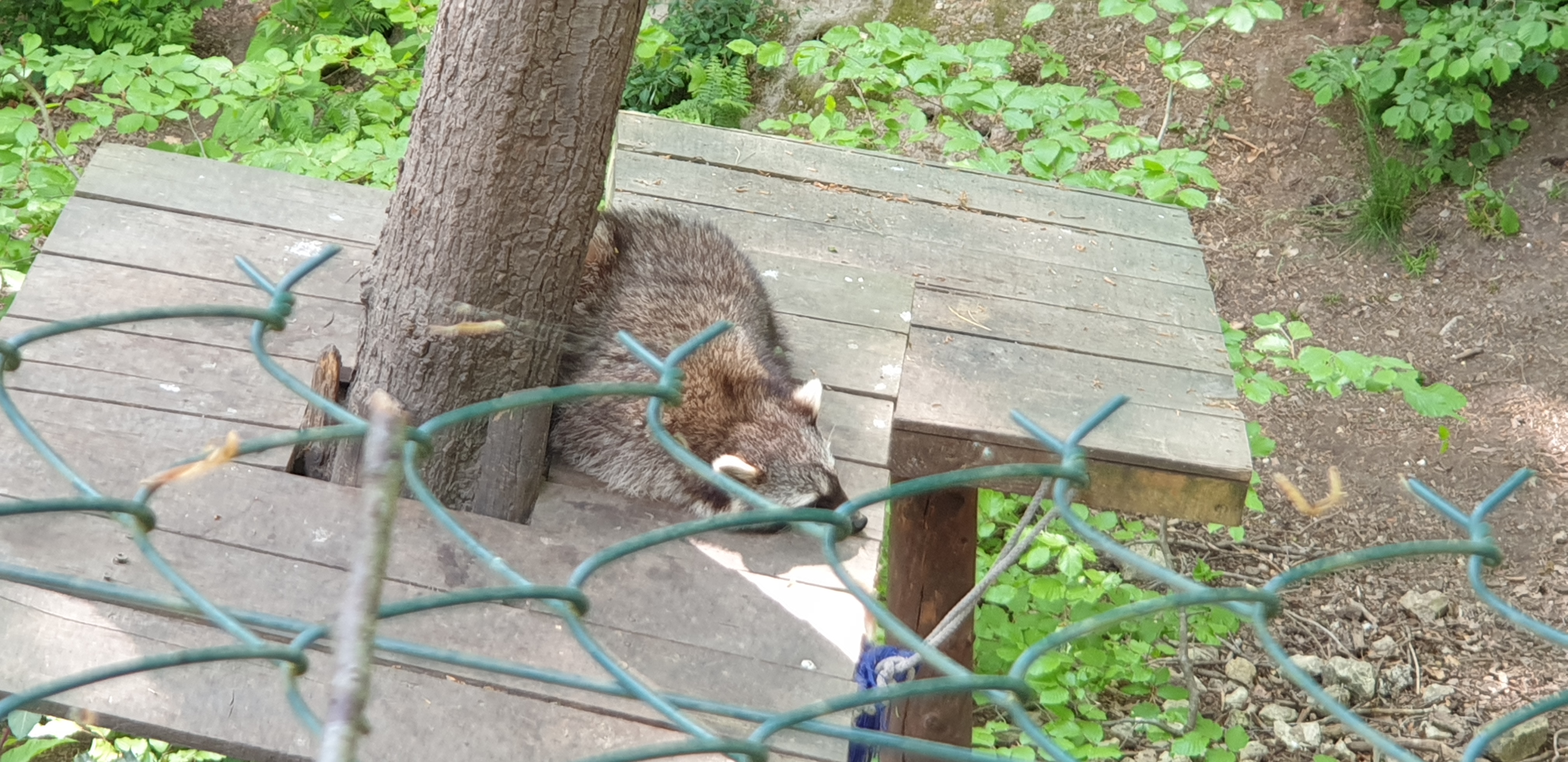 Photo n° 13 de l'avis de Dominique.A fait le 05/05/2022 à 18:02