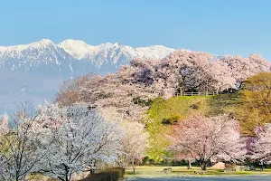 Okusajoshi Park image