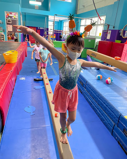 Gymnastics Center «LIC Kids Gymnastics», reviews and photos, 5-02 50th Ave, Long Island City, NY 11101, USA