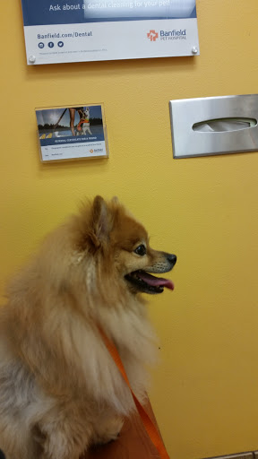 Pet Supply Store «PetSmart», reviews and photos, 4500 Mitchellville Rd, Bowie, MD 20716, USA