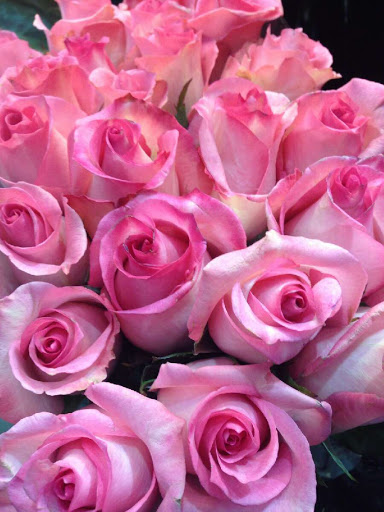 Hotel «Aliante Casino + Hotel + Spa», reviews and photos, 7300 Aliante Parkway, North Las Vegas, NV 89084, USA