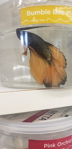 Pet Supply Store «Petco Animal Supplies», reviews and photos, 6025 Kruse Dr #159, Solon, OH 44139, USA