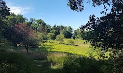 Pleasant Hills Arboretum