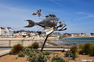Grande Plage de Quiberon à Quiberon