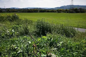 Dublin Mountains View Walk image