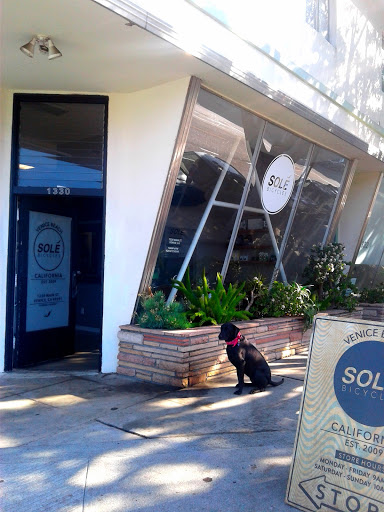 Bicycle Store «Solé», reviews and photos, 1330 Main St, Venice, CA 90291, USA