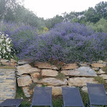 Photo n°2 de l'avis de Mariella.o fait le 25/06/2023 à 05:52 sur le  Agriturismo Casa Turchetti à Cattognano