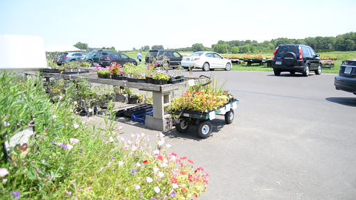 Produce Market «Solly Brothers», reviews and photos, 707 Almshouse Rd, Warminster, PA 18974, USA