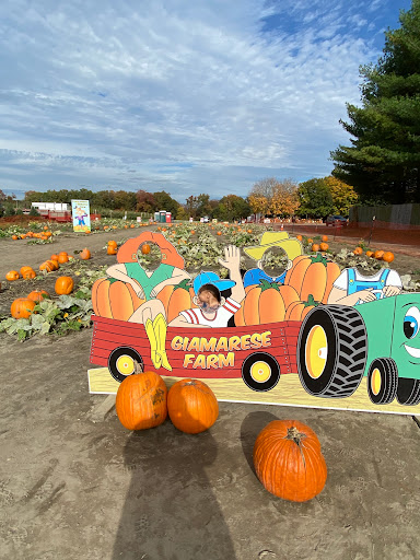 Farm «Giamarese Farm & Orchards», reviews and photos, 155 Fresh Ponds Rd, East Brunswick, NJ 08816, USA