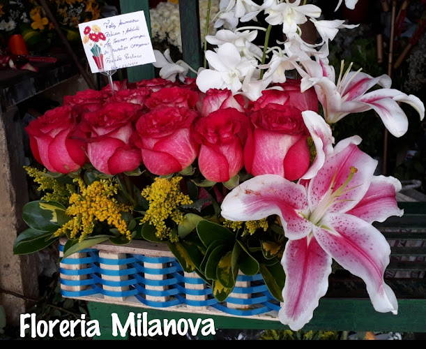 Opiniones de Floreria Milanova local 47 en Guayaquil - Floristería