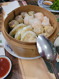 Dumpling du Restaurant chinois Restaurant Jardin d'Asie à Haguenau - n°2