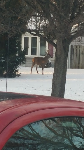 Plumber «S Kilbane Plumbing Inc.», reviews and photos, 25029 Antler Dr, North Olmsted, OH 44070, USA