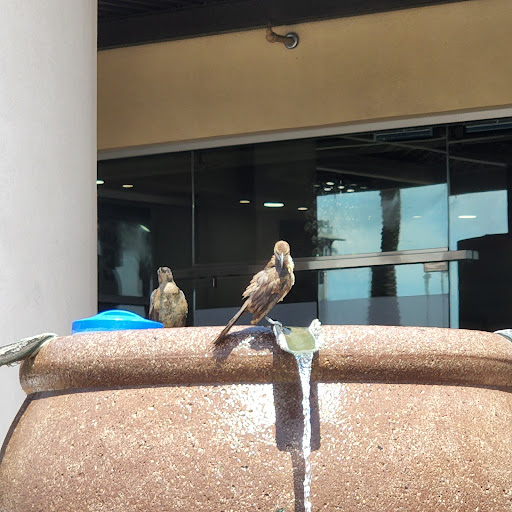 Shopping Mall «The Shops Gainey Village», reviews and photos, 8777 N Scottsdale Rd, Scottsdale, AZ 85253, USA