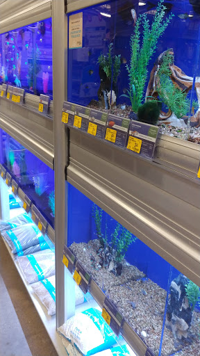 Pet Supply Store «PetSmart», reviews and photos, 7290 W Bell Rd, Glendale, AZ 85308, USA