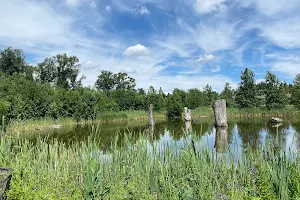Newton Pond Park image