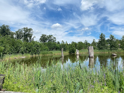 Newton Pond Park
