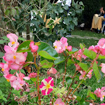 Photo n°8 de l'avis de Carol.u fait le 03/10/2021 à 13:18 sur le  Ristorante La Pieve Vecchia à Monterchi