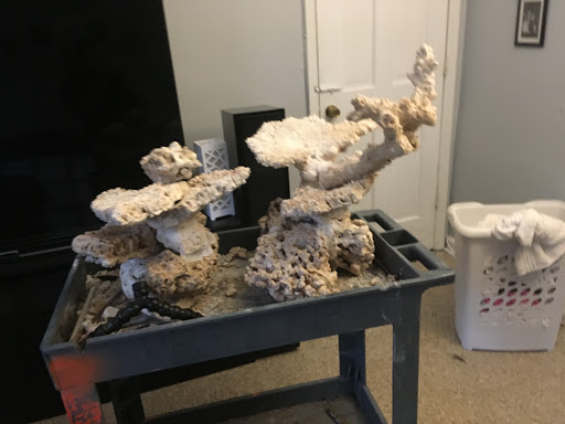 Aquarium «Johns Corals & Aquariums», reviews and photos, 121 Kinderkamack Rd, River Edge, NJ 07661, USA