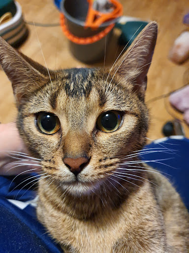 Fressnapf Simbach unter Simbach am Inn, 