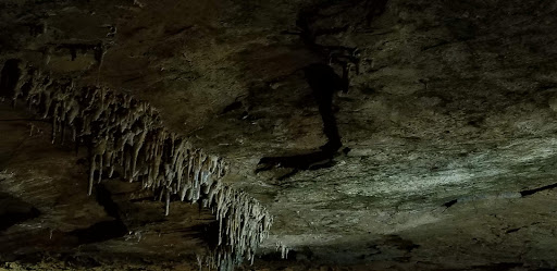 Tourist Attraction «Bluespring Caverns Park», reviews and photos, 1459 Blue Springs Cavern Rd, Bedford, IN 47421, USA