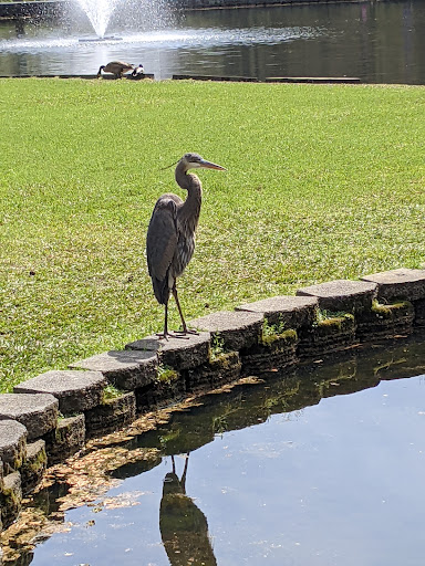 Park «Roswell Area Park», reviews and photos, 10495 Woodstock Rd, Roswell, GA 30075, USA