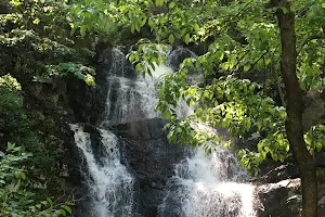 Green Brook Waterfall image