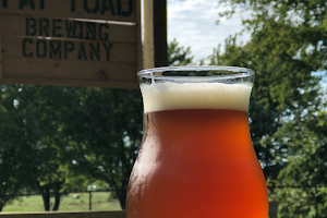 Fat Toad Brewing Company image