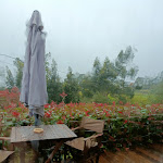 Photo n°6 de l'avis de Cláudia.o fait le 18/04/2024 à 12:57 sur le  Cerquido by Nhôme à Estorãos