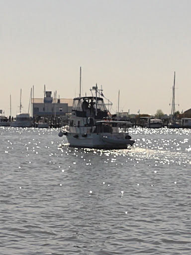 Yacht Club «Solomons Island Yacht Club», reviews and photos, 14604 Hg Trueman Rd, Solomons, MD 20688, USA