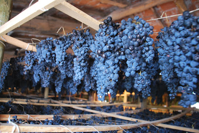 Vinos naturales DOCa Rioja Bodegas Ojuel