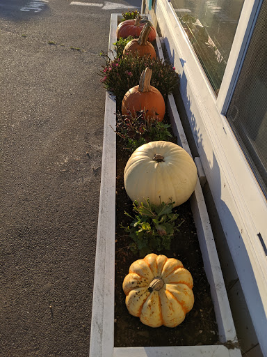 Seafood Market «Bob Lobster», reviews and photos, 49 Plum Island Turnpike, Newbury, MA 01951, USA