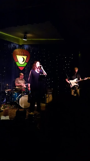 Live Music Venue «Music on the Mountain», reviews and photos, 585 Shades Crest Rd, Birmingham, AL 35226, USA