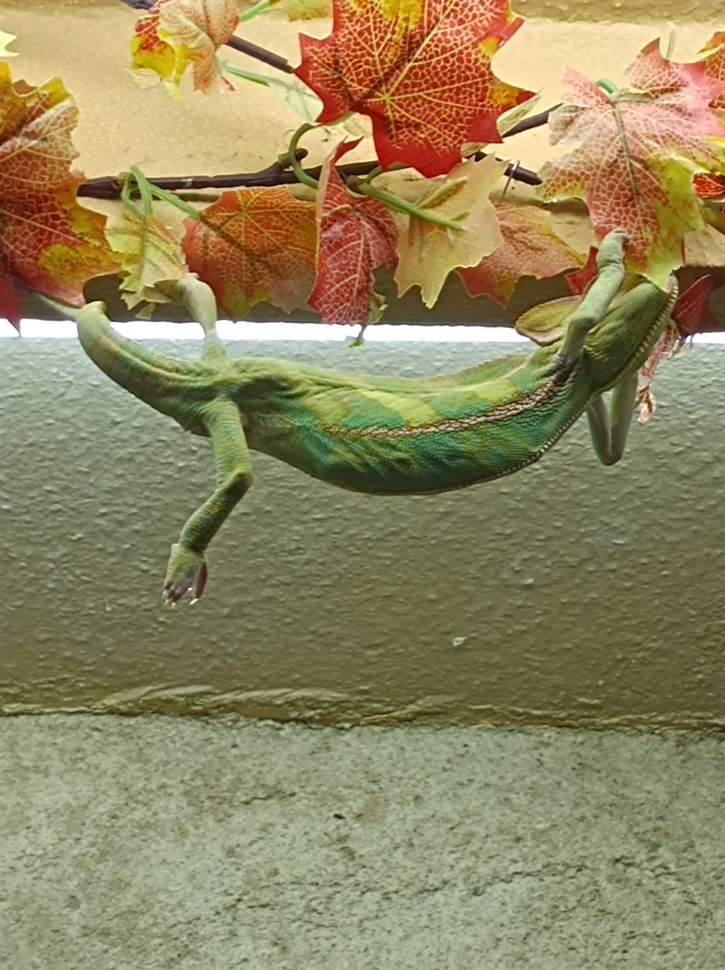 Photo n° 3 de l'avis de Anne.a fait le 02/11/2023 à 17:28