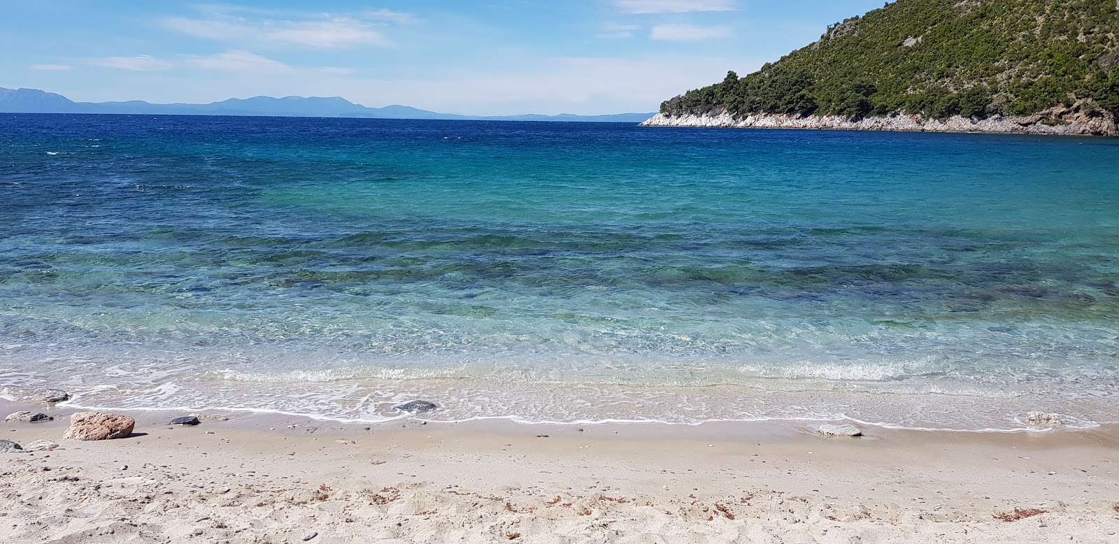 Foto de Limnonari beach ubicado en área natural