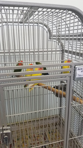 Pet Store «Adventure Birds of Bon Aqua», reviews and photos, 9600 TN-46, Bon Aqua, TN 37025, USA
