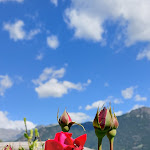 Photo n°4 de l'avis de ferdinando.i fait le 20/08/2023 à 12:08 sur le  Sant'Antonio à Caspoggio