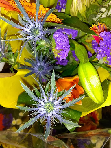 Shopping Mall «Pinole Vista Shopping Center», reviews and photos, 1440 Fitzgerald Dr, Pinole, CA 94564, USA