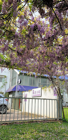 藤菓子 紫藤園 甜點咖啡下午茶 (藤果子)