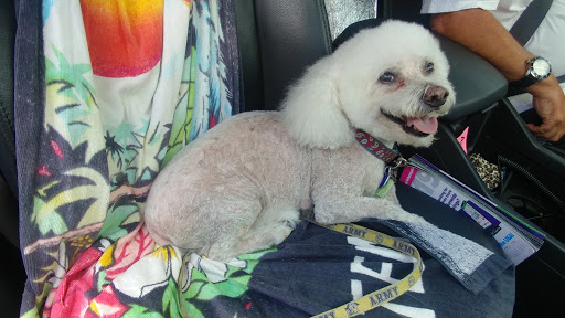 Pet Supply Store «Petco Animal Supplies», reviews and photos, 1951 N Military Trl c, West Palm Beach, FL 33409, USA