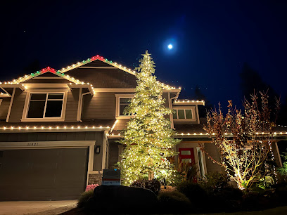 High-Strung Christmas Lights