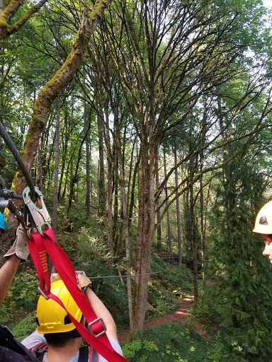 Community Center «South Bellevue Community Center», reviews and photos, 14509 SE Newport Way, Bellevue, WA 98006, USA