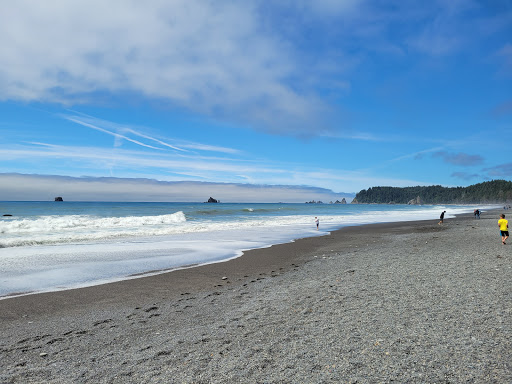 National Park «Olympic National Park», reviews and photos, 3002 Mt Angeles Rd, Port Angeles, WA 98362, USA