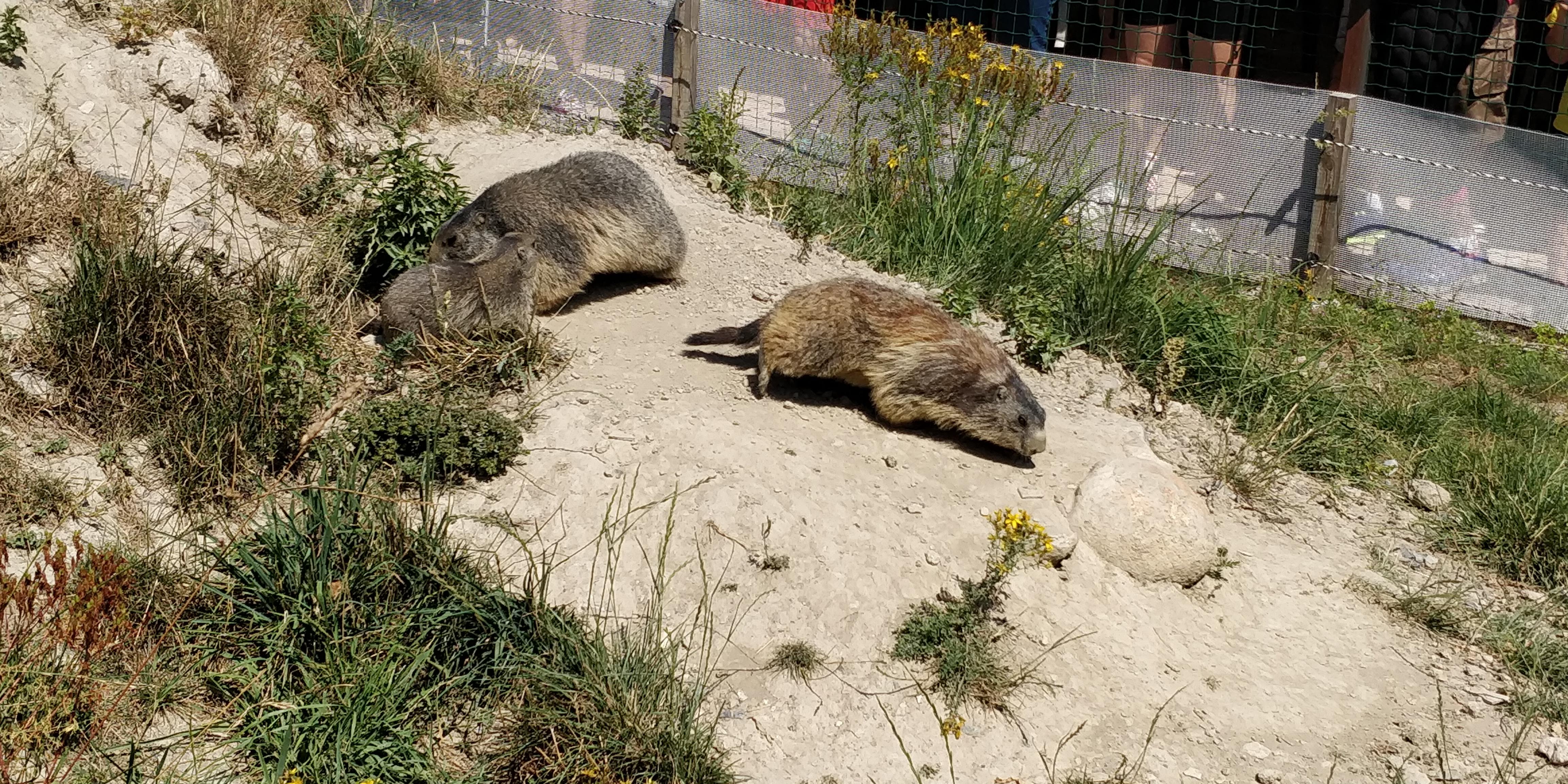 Photo n° 27 de l'avis de Sylvain.e fait le 02/08/2018 à 06:25