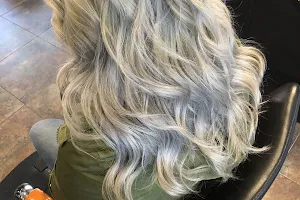 Liz's Hair Spa & Waxing image