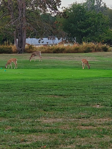 Country Club «Newark Country Club», reviews and photos, 300 W Main St, Newark, DE 19715, USA