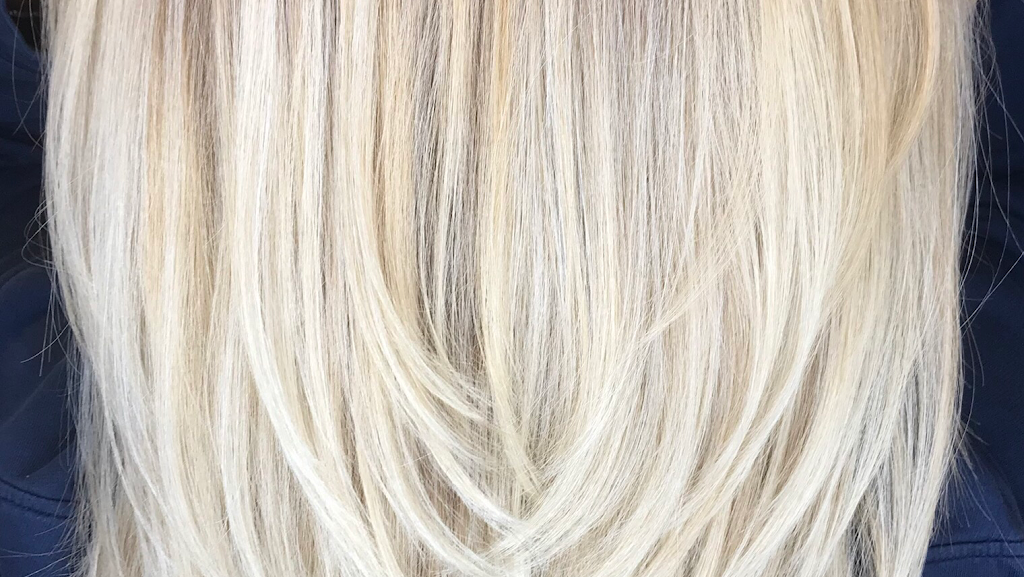 Salon Sheila Llc 19555
