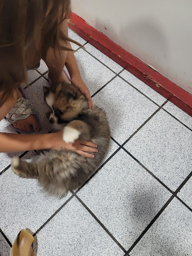 Shopping Mall «Oakland Mall», reviews and photos, 412 W 14 Mile Rd, Troy, MI 48083, USA