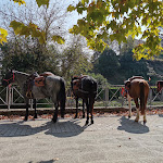 Photo n°2 de l'avis de Dorothea.n fait le 07/10/2023 à 12:12 sur le  Casa Bivignano à Molin Nuovo