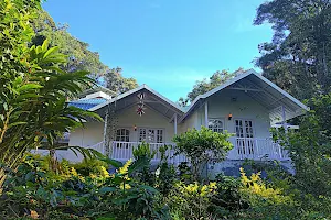 Rainforest Munnar Resort image