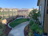 Paradise Landscaping & Tree Experts - Photo 6 - Car repair in , Chula Vista